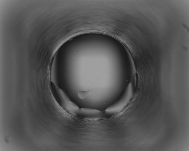X0000093121524200709261318
