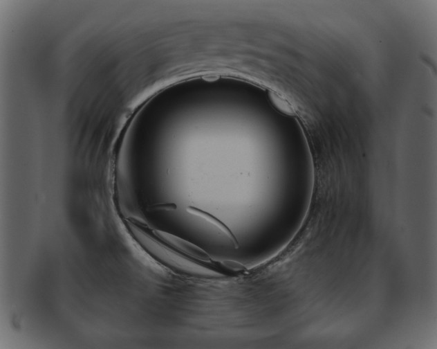 X0000093121526200709261318