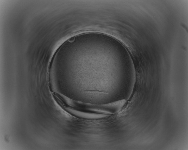X0000093121527200709261318