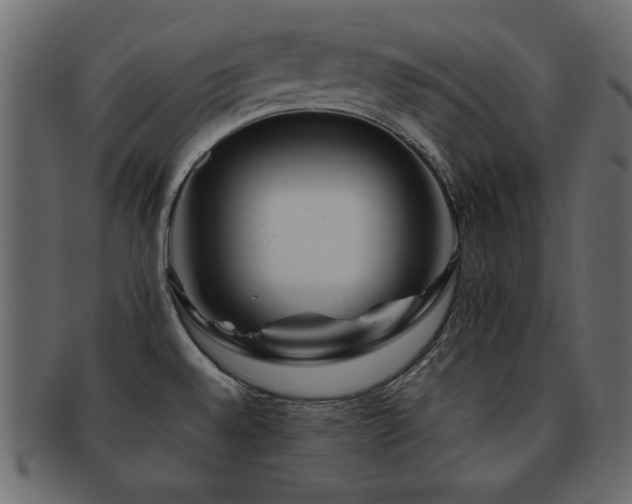 X0000093121528200709261318