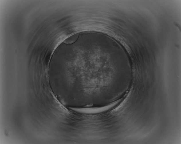 X0000093121529200709261318