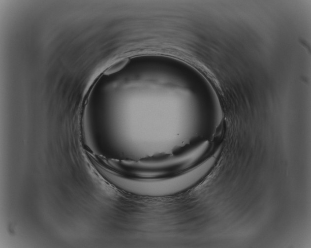 X0000093121530200709261318