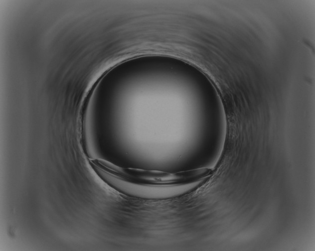 X0000093121531200709261318