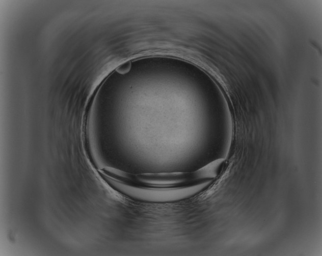X0000093121533200709261318
