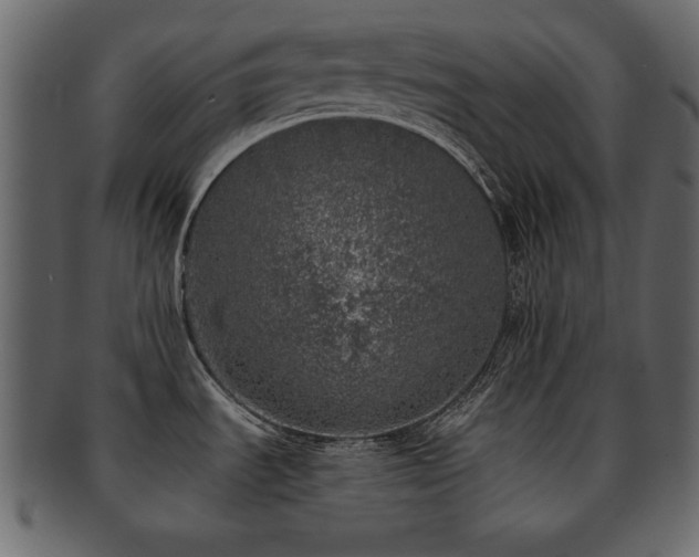 X0000093121535200709261318