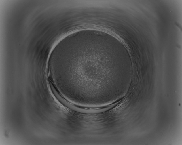 X0000093121536200709261318