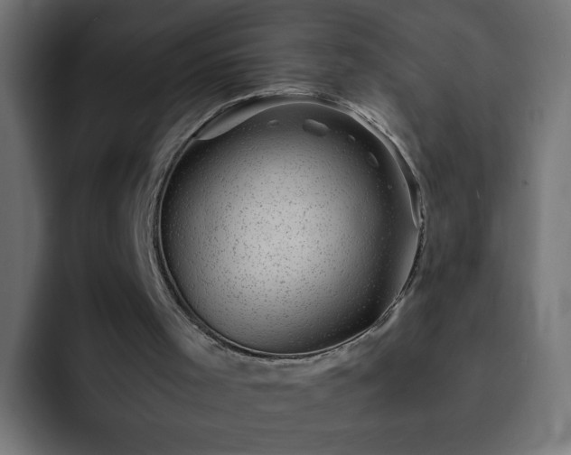 X0000093120001200710031342