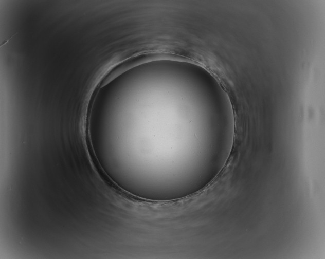 X0000093120003200710031342