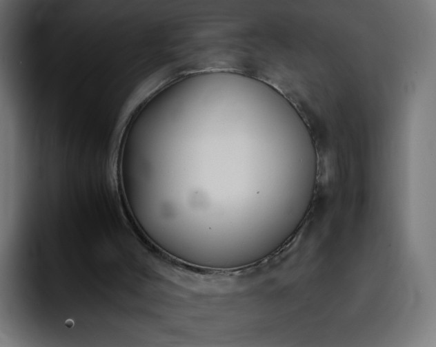 X0000093120004200710031342