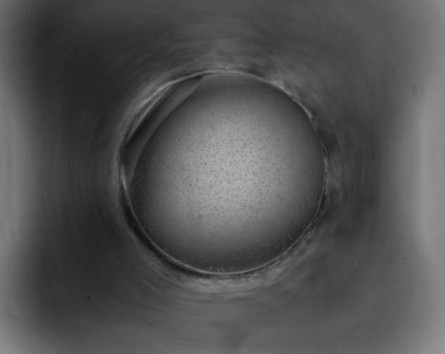 X0000093120005200710031342