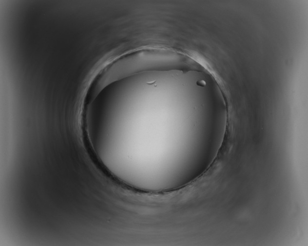 X0000093120007200710031342