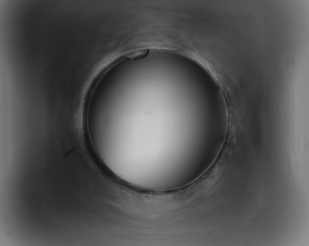 X0000093120008200710031342