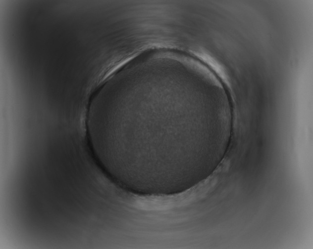 X0000093120009200710031342