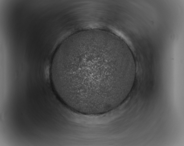 X0000093120010200710031342