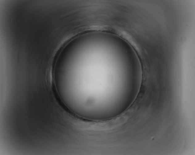 X0000093120011200710031342