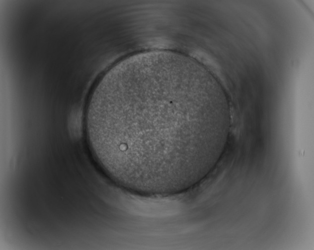 X0000093120012200710031342