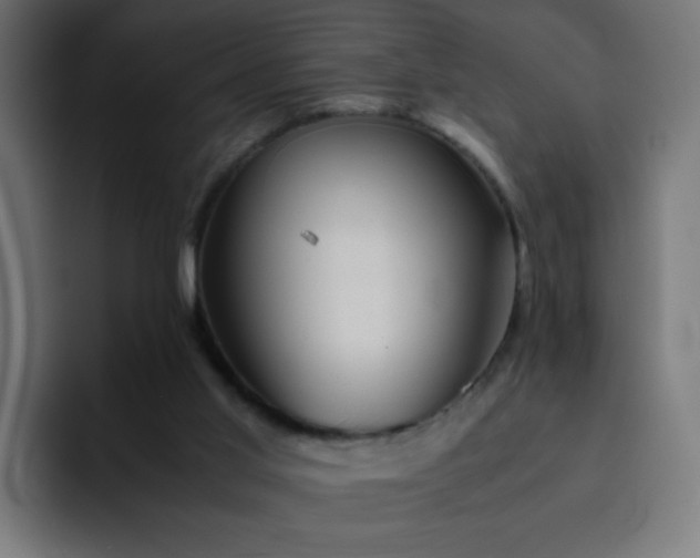 X0000093120013200710031342