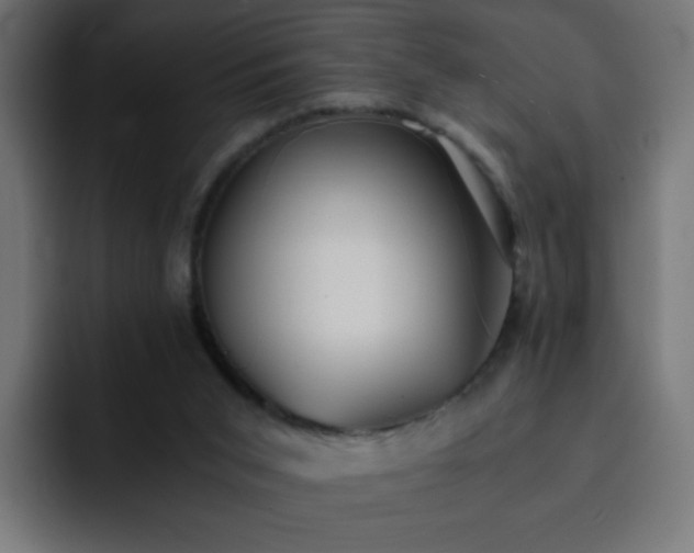 X0000093120015200710031342