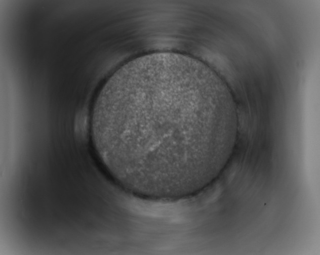 X0000093120016200710031342