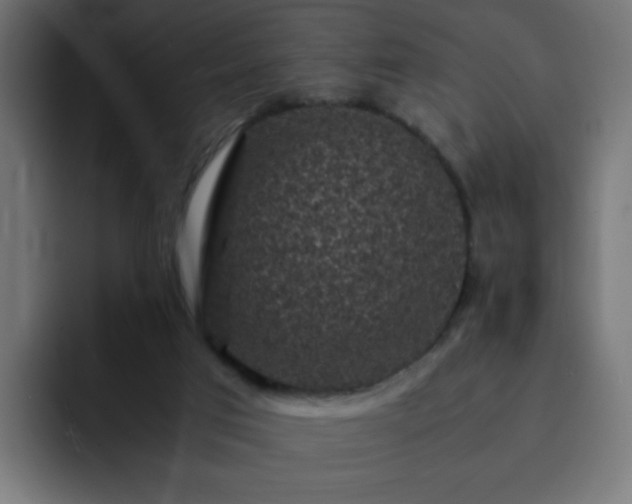 X0000093120017200710031342