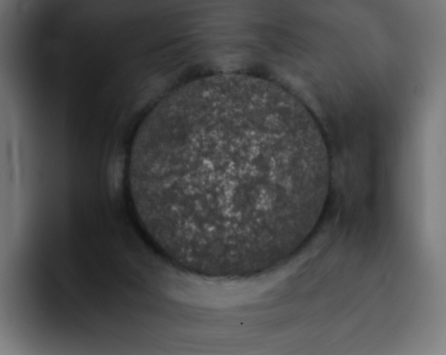 X0000093120018200710031342