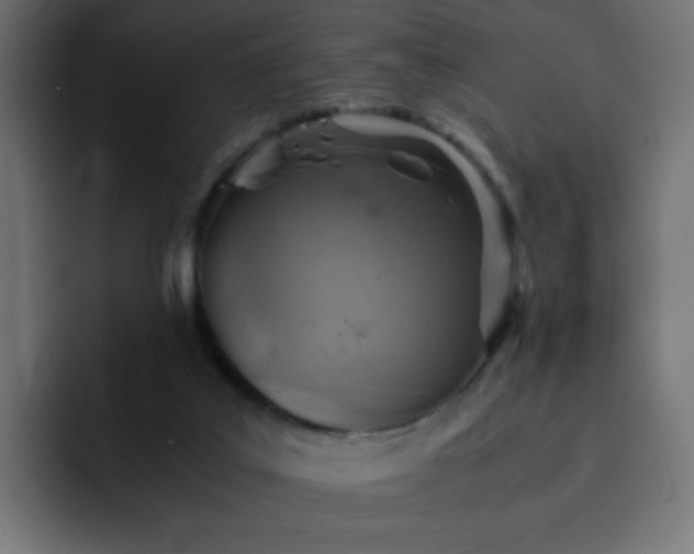 X0000093120019200710031342