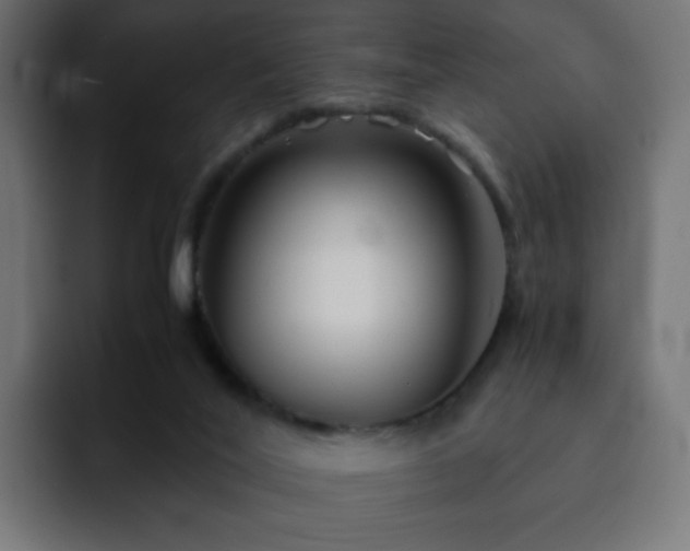 X0000093120020200710031342