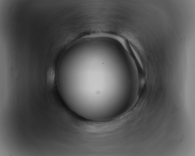 X0000093120021200710031342