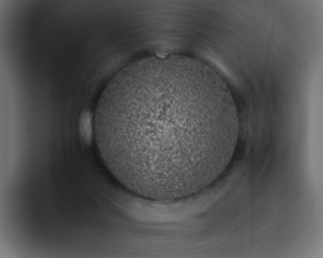 X0000093120022200710031342