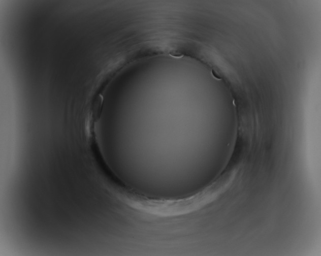 X0000093120023200710031342