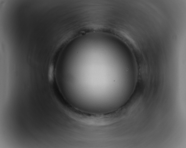 X0000093120024200710031342