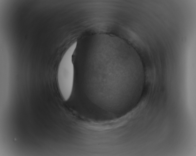 X0000093120029200710031342