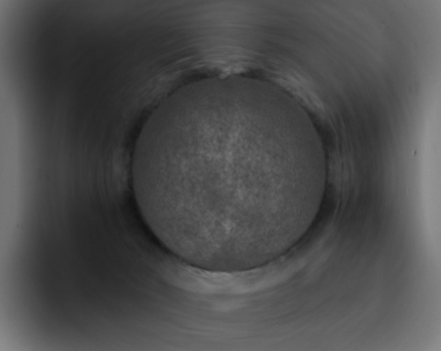 X0000093120030200710031342