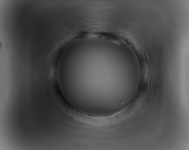 X0000093120031200710031342