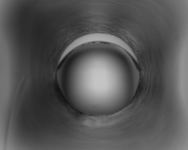 X0000093120033200710031342