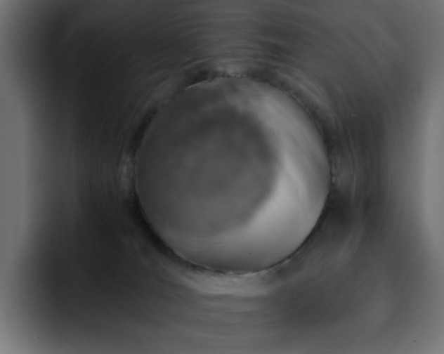 X0000093120036200710031342