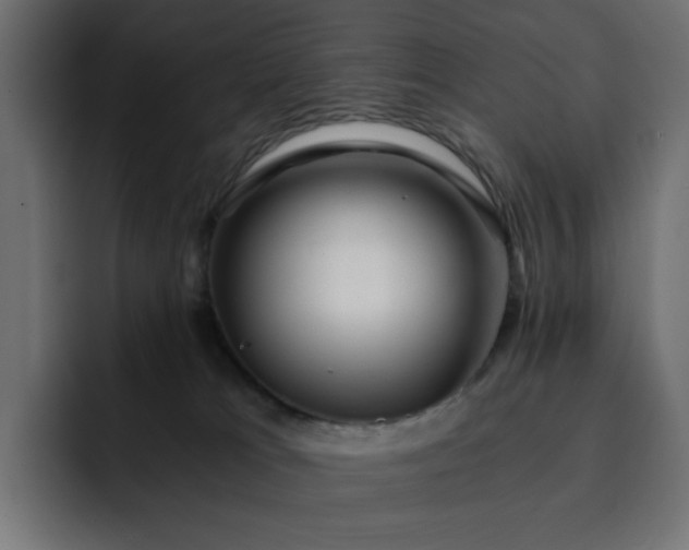 X0000093120037200710031342