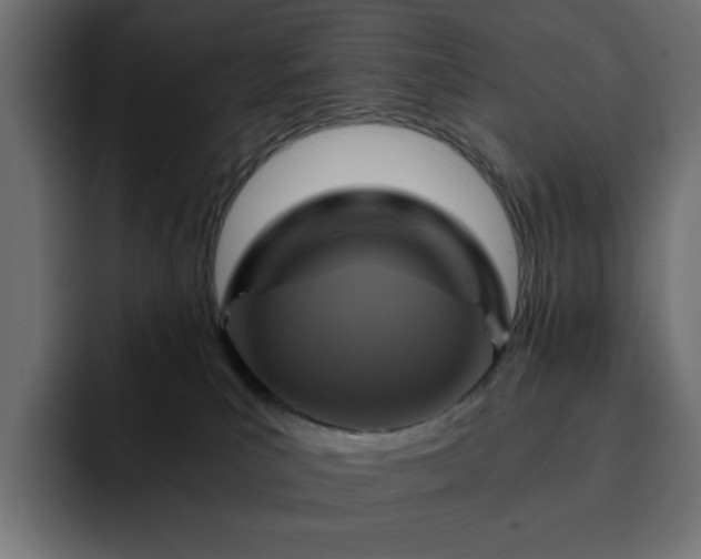 X0000093120039200710031342