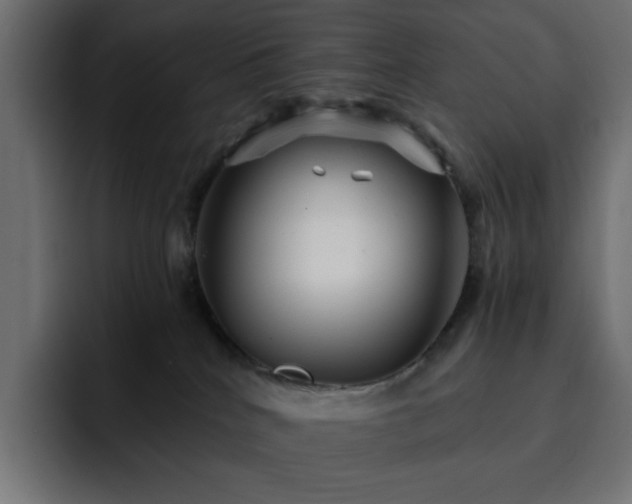 X0000093120040200710031342