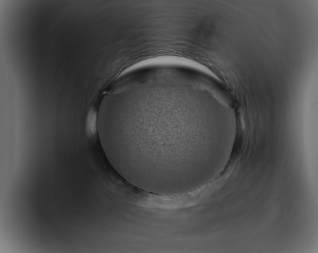 X0000093120041200710031342