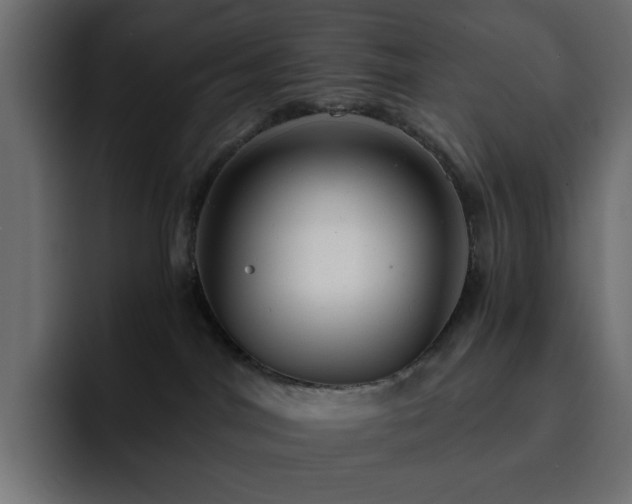 X0000093120044200710031342