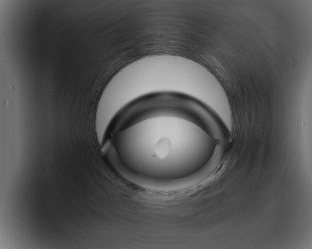 X0000093120045200710031342