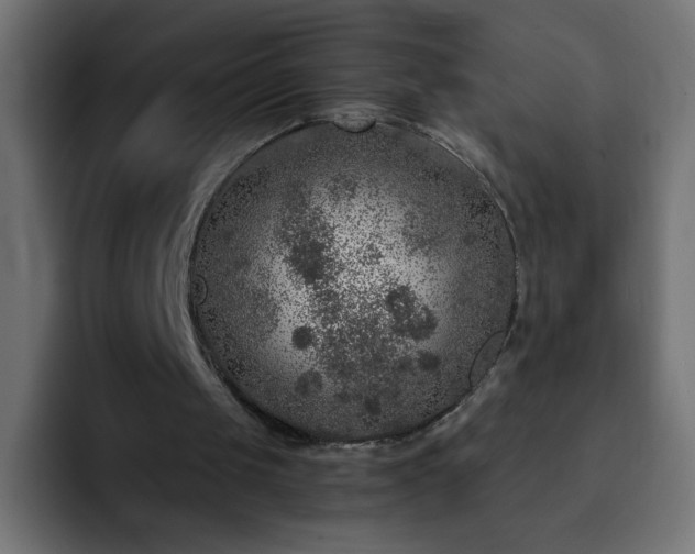 X0000093120049200710031341