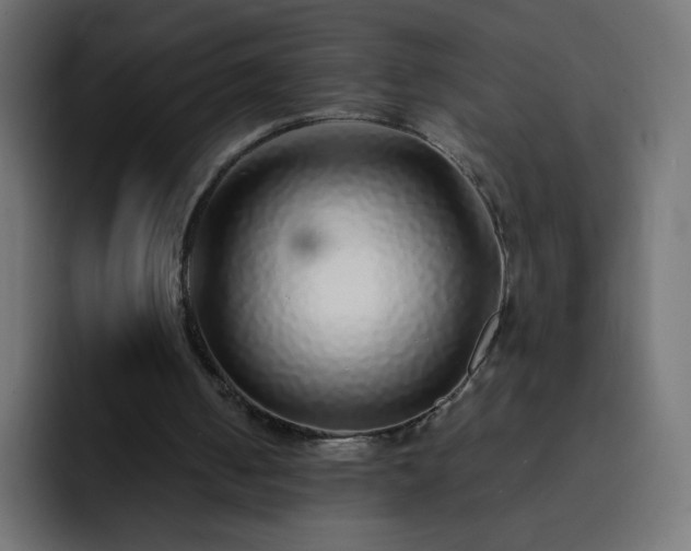 X0000093120050200710031341