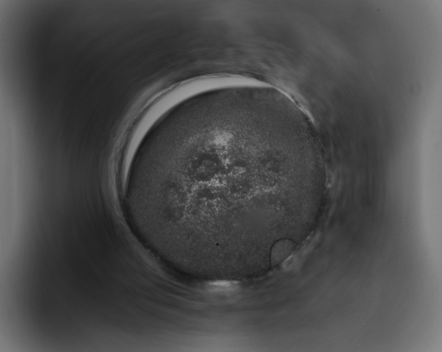 X0000093120053200710031341