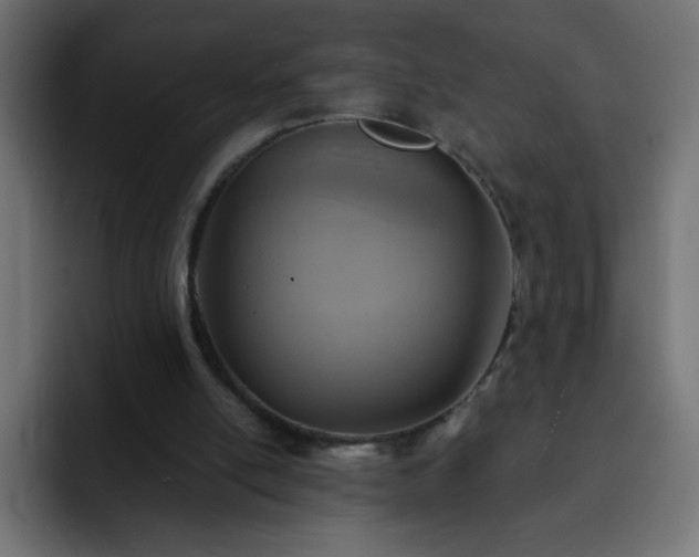 X0000093120054200710031341