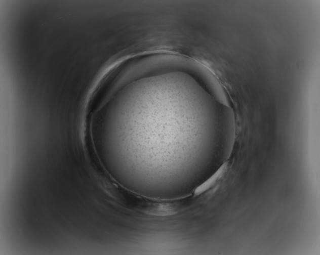 X0000093120056200710031341