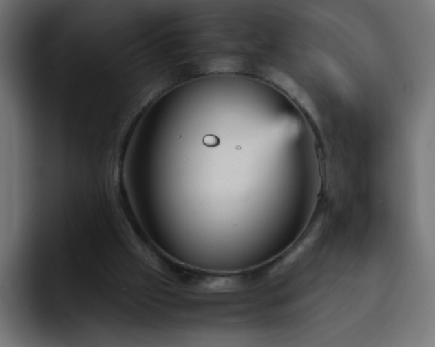 X0000093120057200710031341