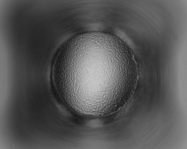 X0000093120058200710031341