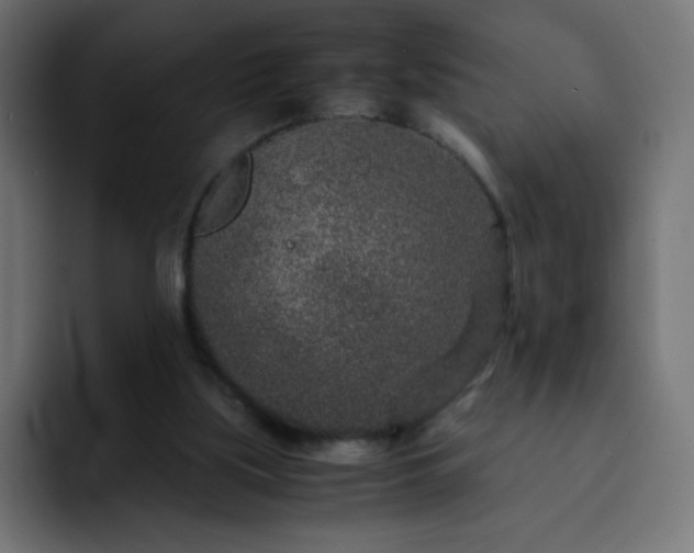 X0000093120059200710031341